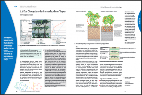 cover_das-okosystem-immerfeuchter-tropen_gruppenpuzzzle.png 