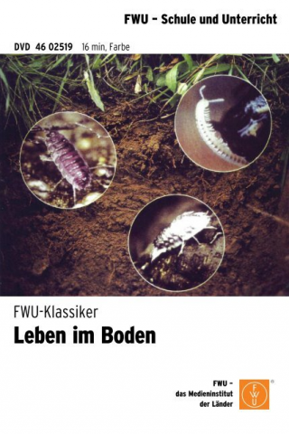 ideenset_erdboden_leben-im-boden