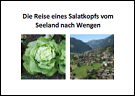 ideenset_seeland_landwirtschaft_salatkopf