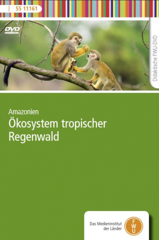 IdeenSet_Tropischer Regenwald_Ökosystem Regenwald