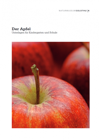 Der Apfel | PHBern