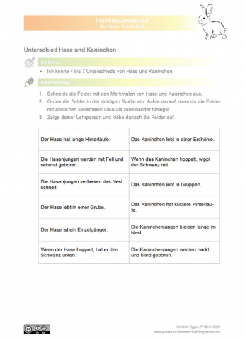 ideenset_fruhlingserwachen_unterschiedhaseundkaninchen