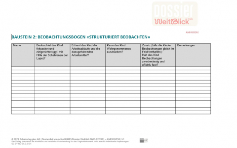 ideenset_dossierweitblickanpacken_beobachtungsbogenstrukturiertesbeobachten