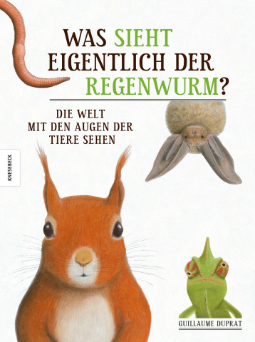 IdeenSet_WeitBlick_GlitschigLaut_WasSiehtEigentlichDerRegenwurm