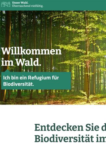 IdeenSet Wald Waldvielfalt