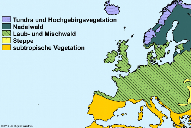 Karte der Nordeuropäischen Vegetationszonen